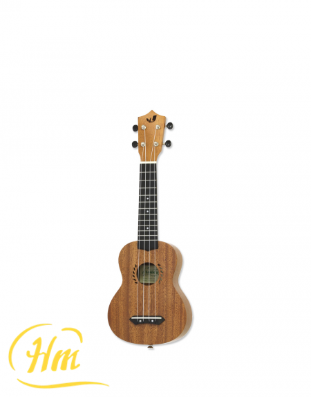 ARIA LAM-1S