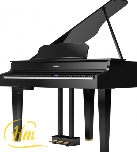 ROLAND GP607