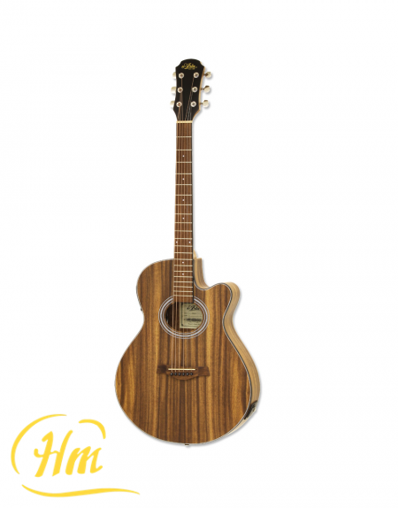 ARIA FET-T1
