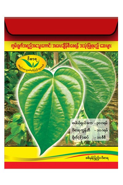 BETEL VINE SPECIAL