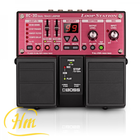 BOSS RC-30