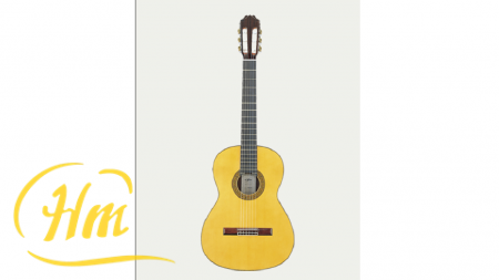ARIA AC-50