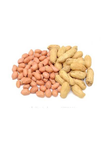 Groundnut (Pink)