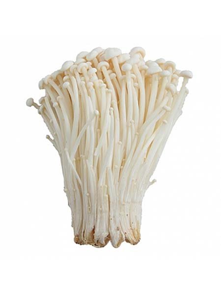 Mushroom - Enoki