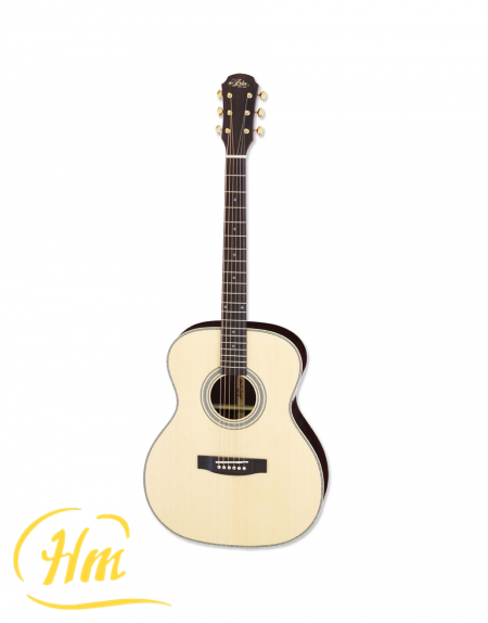 ARIA-505