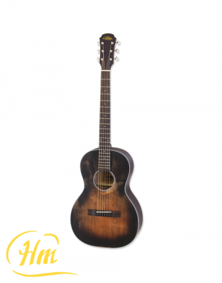 ARIA-131DP -Delta Player-