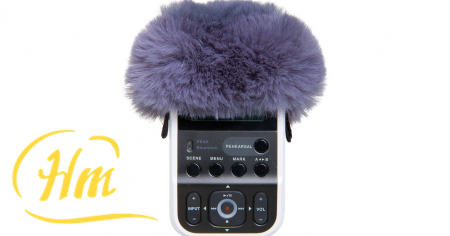 ROLAND R07-WS