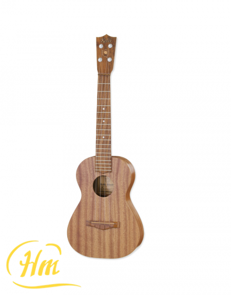 ARIA T-B/M -Tenor-