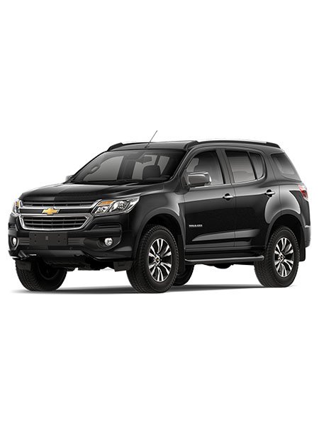 CHEVROLET TRAILBLAZER Silver Metallic