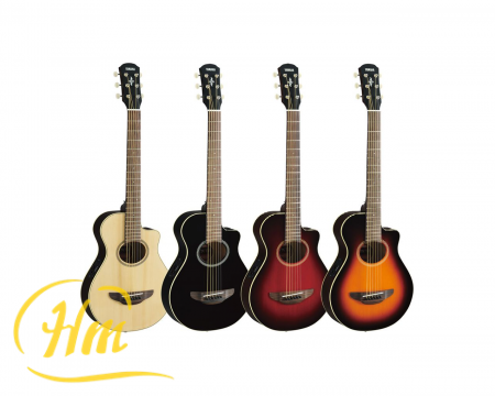 YAMAHA APXT2