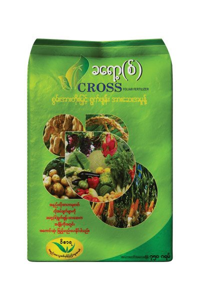 CROSS