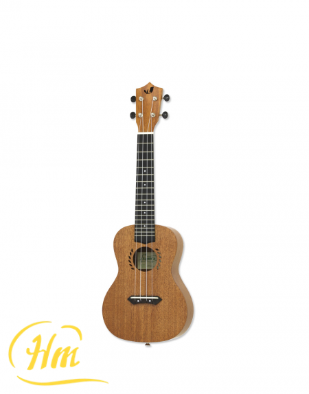 ARIA LAM-1C