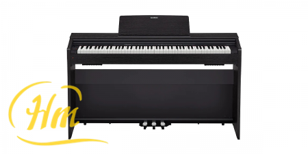 CASIO PX-870