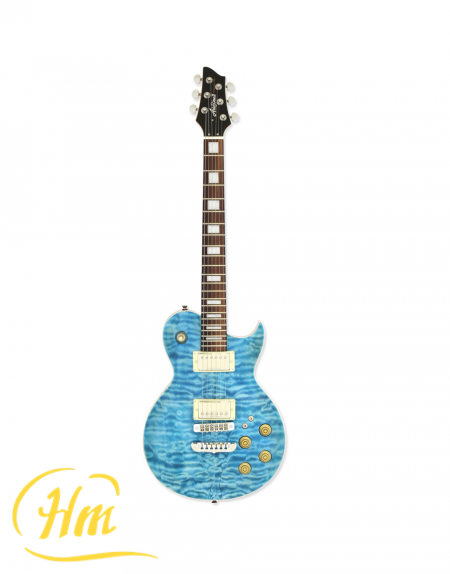 ARIA PE-480