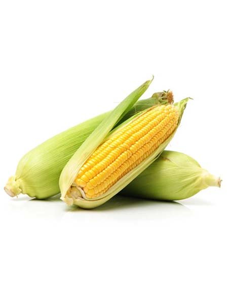 Corn