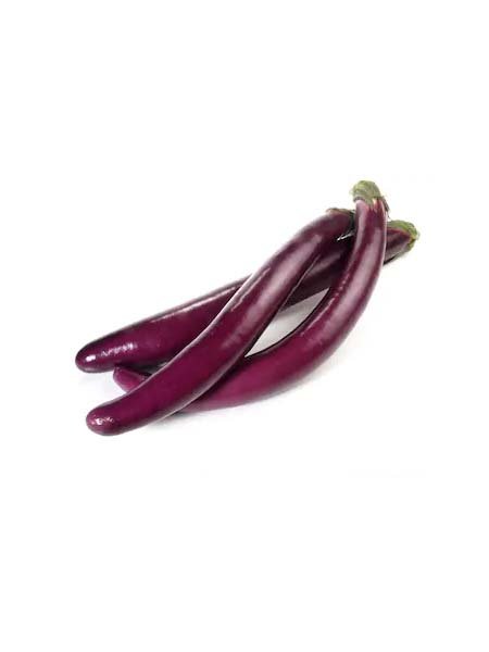 Long Eggplant