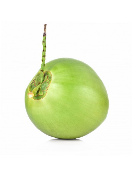 Coconut