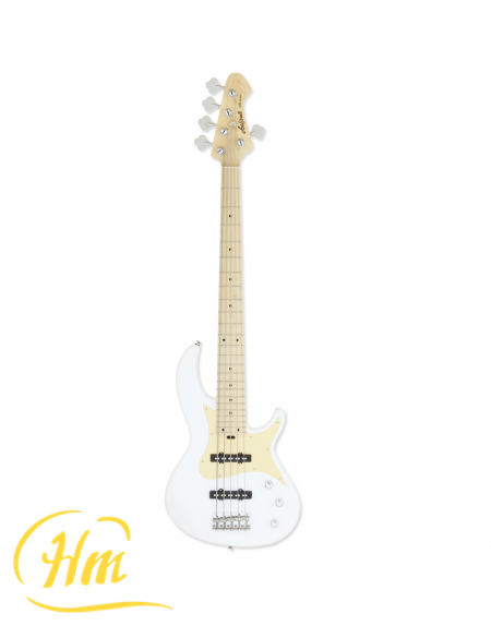 ARIA RSB-618/5