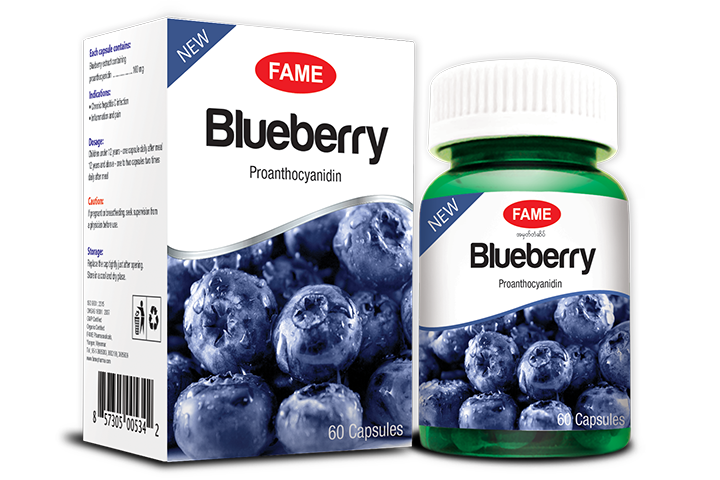 FAME Blueberry Liver Support (60s)