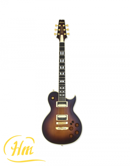 ARIA PE-R100
