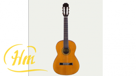ARIA PS-58