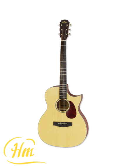 ARIA-101CE