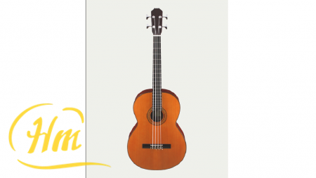 ARIA AC-75CB/4