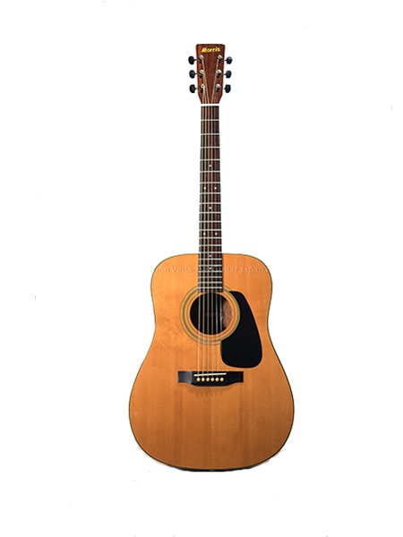 Morris MD502