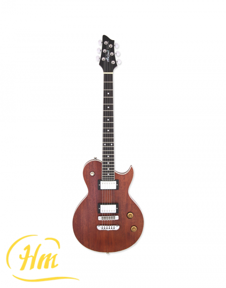 ARIA PE-TR1