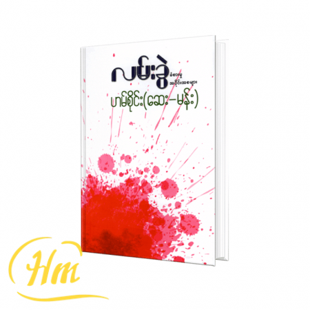 လမ်းခွဲခံစားမှုအပိုင်းအစများ