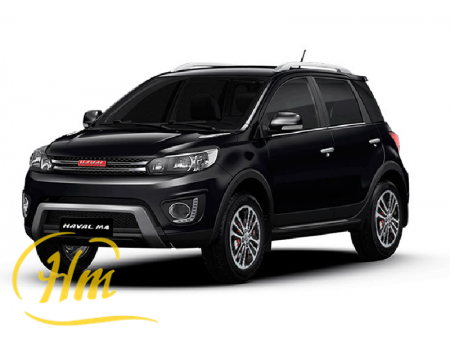 Haval GWM M4 Black