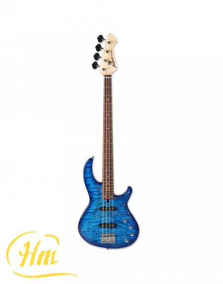 ARIA RSB-J010