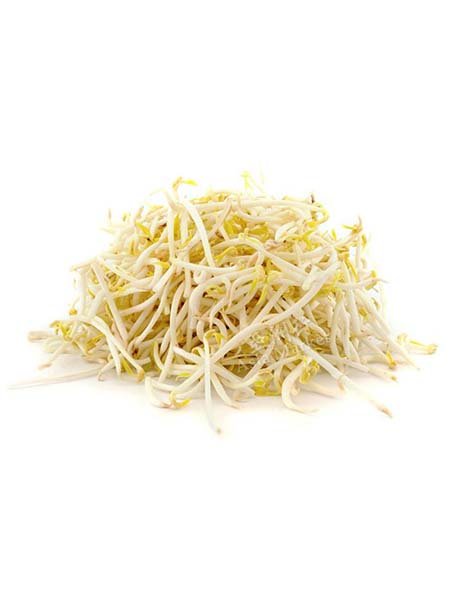 Bean Shoots