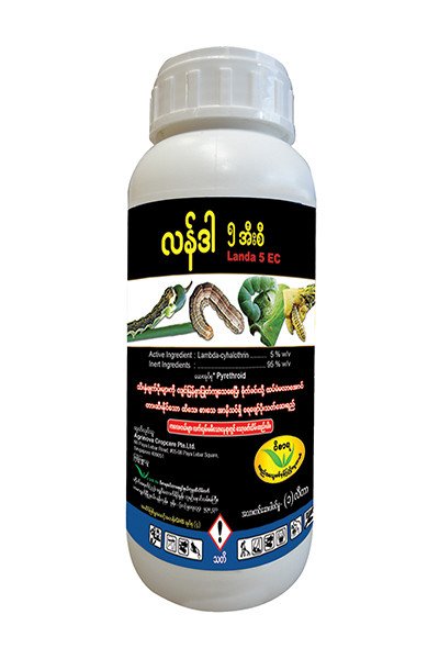 LANDA 5 EC