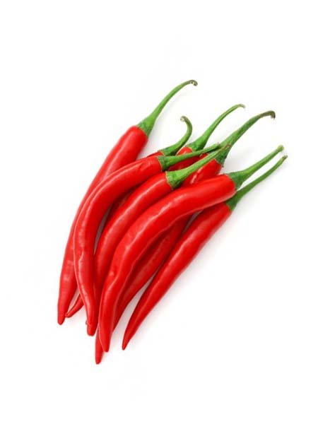 Chilli - Red