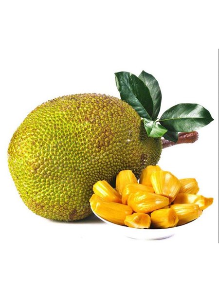 Jackfruit