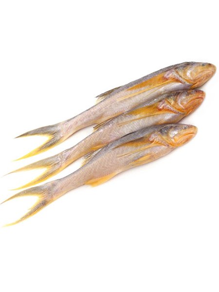 Topse Fish