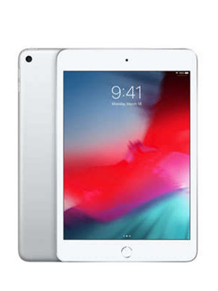 iPad mini 5 256GB Silver (4G-LTE)