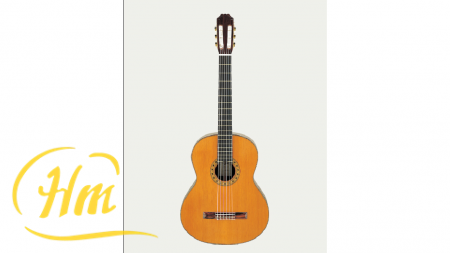 ARIA AC-75B