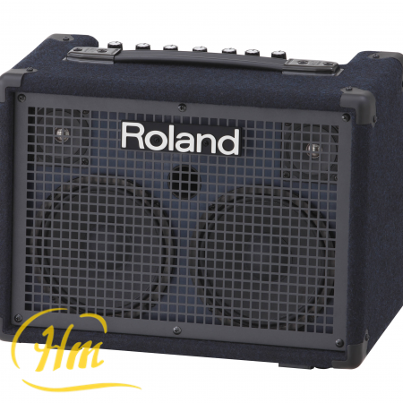ROLAND KC-220