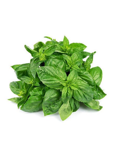 basil leaves