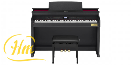 CASIO AP-710
