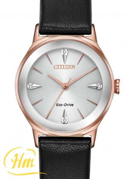 Citizen Axiom Eco-Drive EM0733-08A