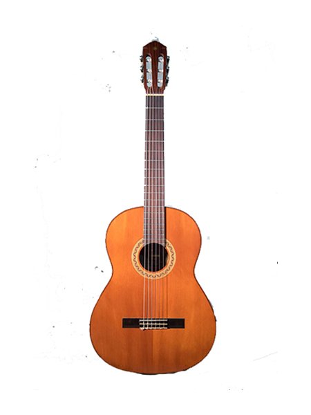 Yamaha G100D