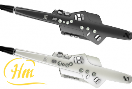 ROLAND Aerophone AE-10