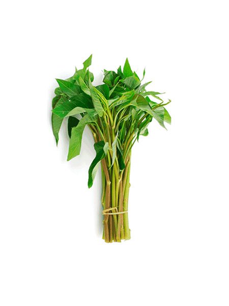 Red Water Spinach