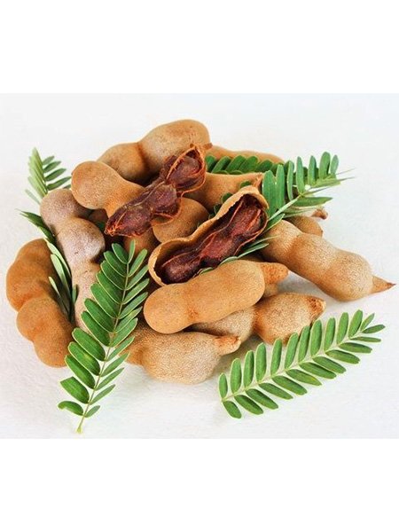 Ripe Tamarind