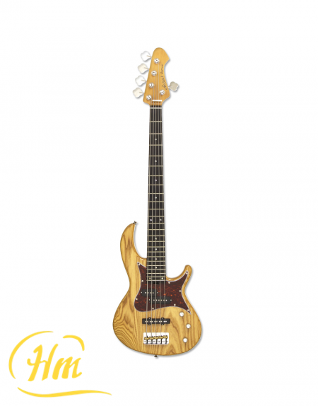 ARIA 313-MK2/5 -Detroit-