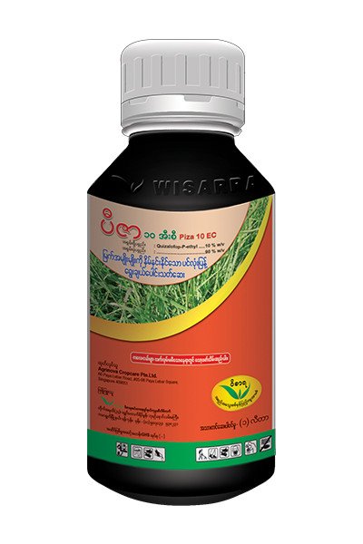 PIZA 10 EC