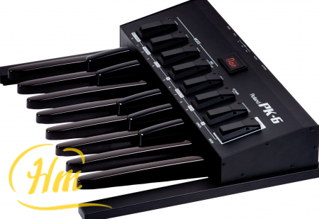 ROLAND PK-6